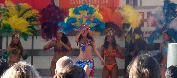 Aanvraag voor een tropisch bedrijfsfeest